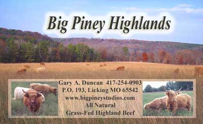 Big Piney Highlands - Licking MO