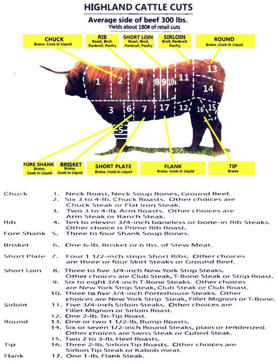 Highland Cattle Cuts