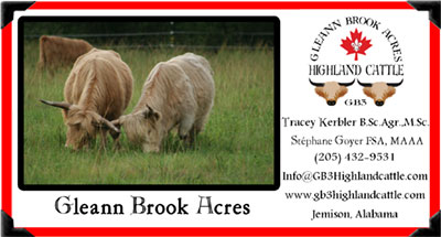 Gleann Brook Acres Highland Cattle