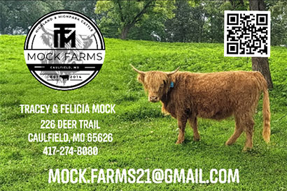 Mock Farms