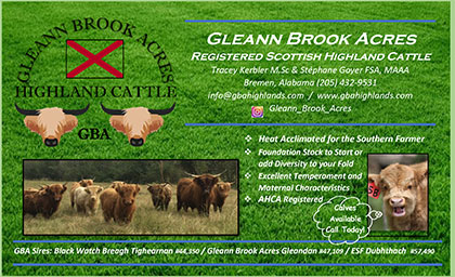 Gleann Brook Acres Highland Cattle